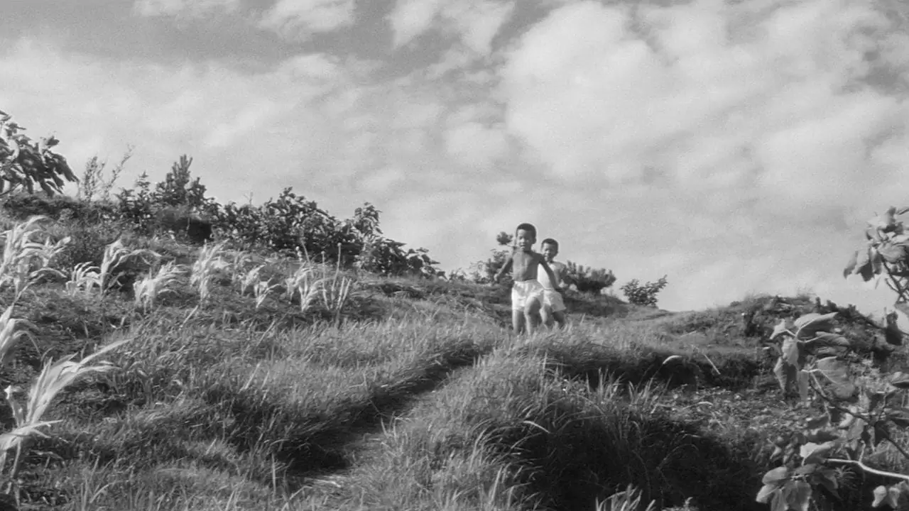 The Naked Island Backdrop