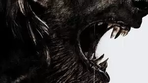 Daniel Robbins Cover Image