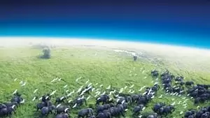 David Attenborough Cover Image