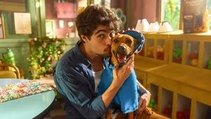 Arianne Botelho Cover Image