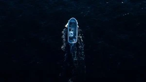 Yon Motskin Cover Image