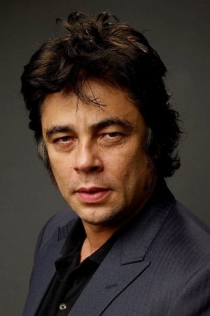 Benicio Del Toro Image