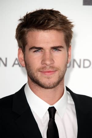 Liam Hemsworth Image