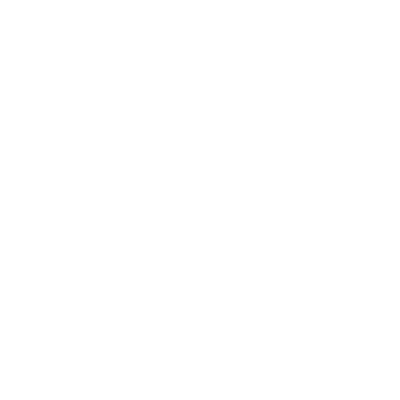 network logo