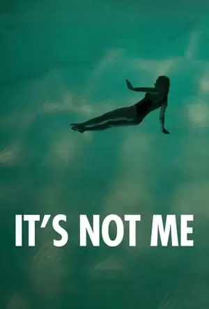 It’s Not Me Poster