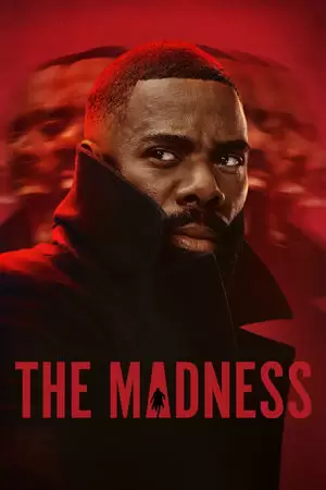 The Madness Poster